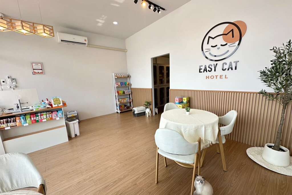 4 เหตุผลที่โรงแรมแมวคุ้มค่า